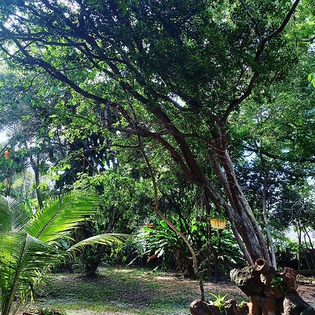 Pousada Aldeia Banzae Imbassai Buitenkant foto